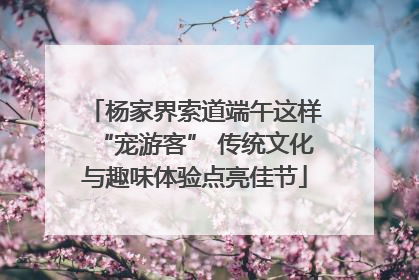 杨家界索道端午这样“宠游客” 传统文化与趣味体验点亮佳节