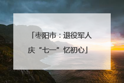 枣阳市：退役军人庆“七一”忆初心