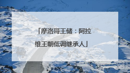 摩洛哥王储：阿拉维王朝低调继承人