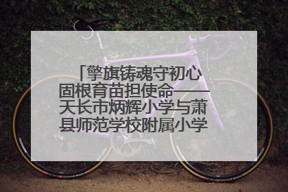 擎旗铸魂守初心 固根育苗担使命——天长市炳辉小学与萧县师范学校附属小学结对共建活动纪实