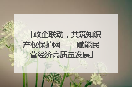 政企联动，共筑知识产权保护网——赋能民营经济高质量发展