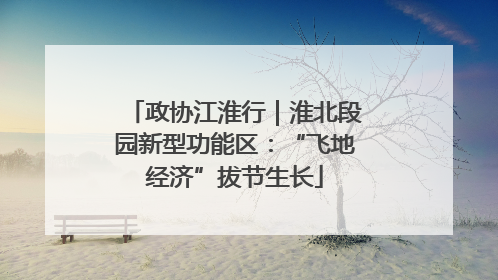 政协江淮行｜淮北段园新型功能区：“飞地经济”拔节生长