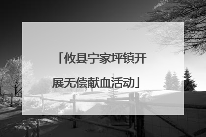 攸县宁家坪镇开展无偿献血活动