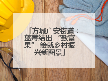 方城广安街道：蓝莓结出 “致富果” 绘就乡村振兴新图景