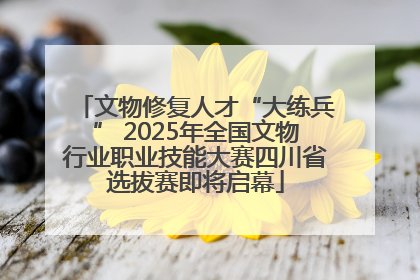 文物修复人才“大练兵” 2025年全国文物行业职业技能大赛四川省选拔赛即将启幕
