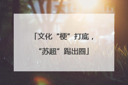 文化“梗”打底，“苏超”踢出圈