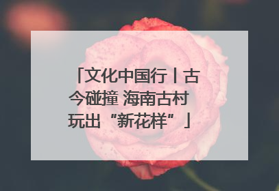 文化中国行丨古今碰撞 海南古村玩出“新花样”