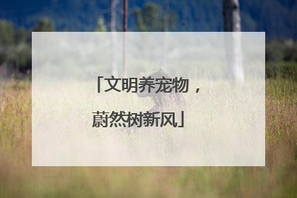 文明养宠物,蔚然树新风