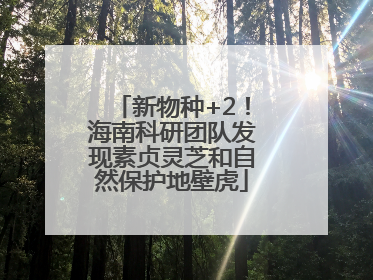 新物种+2！海南科研团队发现素贞灵芝和自然保护地壁虎