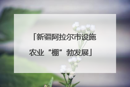 新疆阿拉尔市设施农业“棚”勃发展