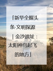 新华全媒头条·文明探源｜金沙遗址：太阳神鸟起飞的地方