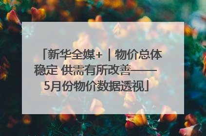 新华全媒+｜物价总体稳定 供需有所改善——5月份物价数据透视