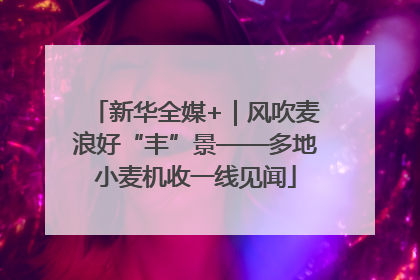 新华全媒+｜风吹麦浪好“丰”景——多地小麦机收一线见闻