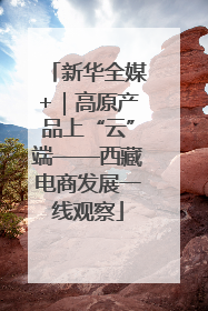 新华全媒+｜高原产品上“云”端——西藏电商发展一线观察