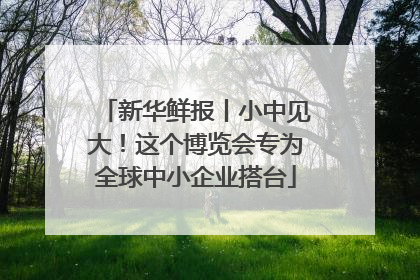新华鲜报丨小中见大！这个博览会专为全球中小企业搭台