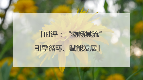 时评：“物畅其流”引擎循环、赋能发展