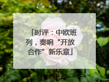 时评：中欧班列，奏响“开放合作”新乐章