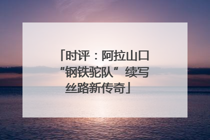 时评：阿拉山口“钢铁驼队”续写丝路新传奇