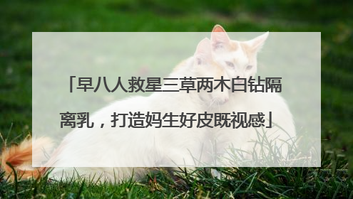 早八人救星三草两木白钻隔离乳，打造妈生好皮既视感