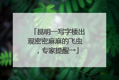 昆明一写字楼出现密密麻麻的飞虫，专家提醒→