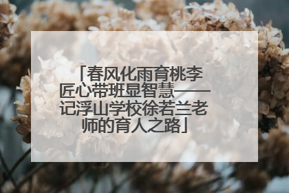 春风化雨育桃李 匠心带班显智慧——记浮山学校徐若兰老师的育人之路