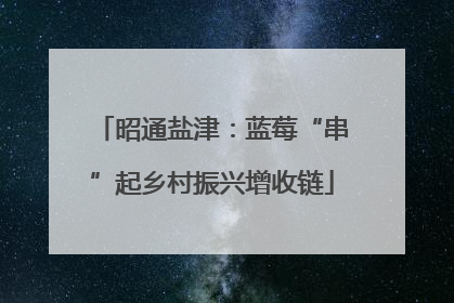 昭通盐津：蓝莓“串”起乡村振兴增收链