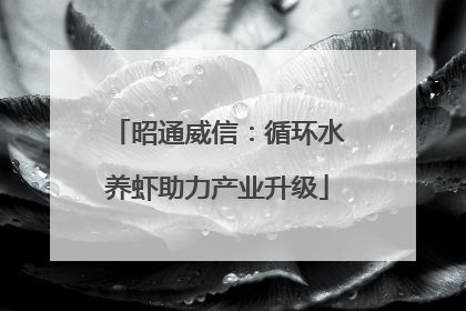 昭通威信：循环水养虾助力产业升级