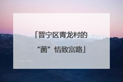 晋宁区青龙村的“菌”情致富路