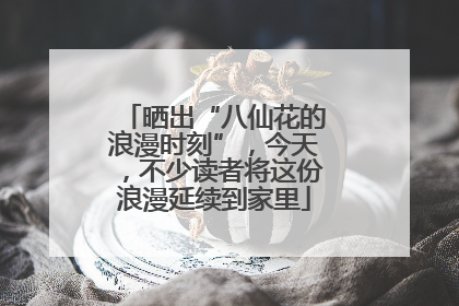 晒出“八仙花的浪漫时刻”，今天，不少读者将这份浪漫延续到家里