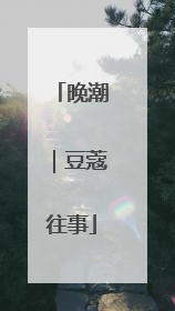 晚潮｜豆蔻往事