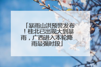 暴雨山洪预警发布！桂北已出现大到暴雨，广西进入本轮降雨最强时段