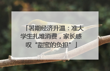 暑期经济升温：准大学生扎堆消费，家长感叹“甜蜜的负担”