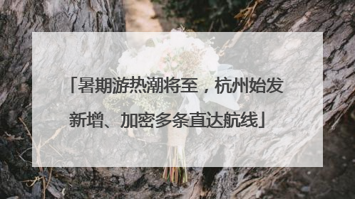 暑期游热潮将至，杭州始发新增、加密多条直达航线