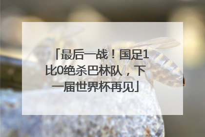 最后一战！国足1比0绝杀巴林队，下一届世界杯再见