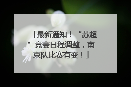 最新通知！“苏超”竞赛日程调整，南京队比赛有变！