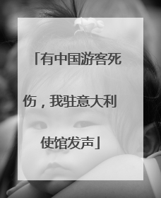 有中国游客死伤，我驻意大利使馆发声