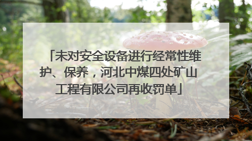 未对安全设备进行经常性维护、保养，河北中煤四处矿山工程有限公司再收罚单