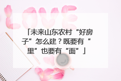 未来山东农村“好房子”怎么建？既要有“里”也要有“面”