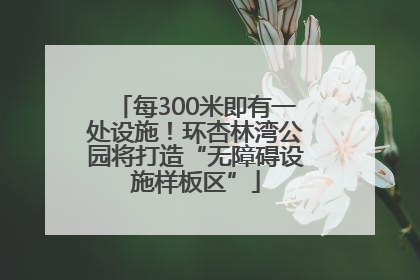 每300米即有一处设施！环杏林湾公园将打造“无障碍设施样板区”