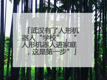 武汉有了人形机器人“学校”，“人形机器人进家庭，这是第一步”