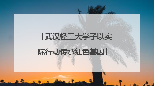 武汉轻工大学子以实际行动传承红色基因