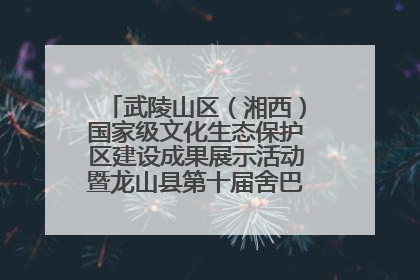 武陵山区（湘西）国家级文化生态保护区建设成果展示活动暨龙山县第十届舍巴日即将启幕