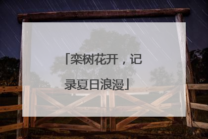 栾树花开，记录夏日浪漫