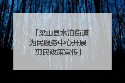 梁山县水泊街道为民服务中心开展惠民政策宣传