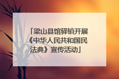 梁山县馆驿镇开展《中华人民共和国民法典》宣传活动