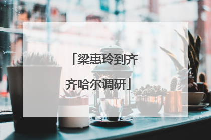 梁惠玲到齐齐哈尔调研