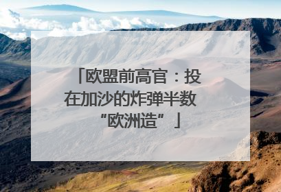 欧盟前高官：投在加沙的炸弹半数“欧洲造”