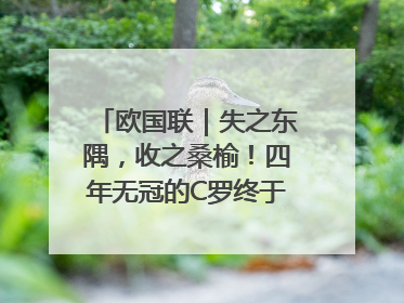 欧国联｜失之东隅，收之桑榆！四年无冠的C罗终于再次举起奖杯