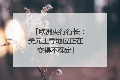 欧洲央行行长：美元主导地位正在变得不确定