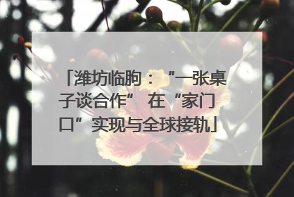 潍坊临朐：“一张桌子谈合作” 在“家门口”实现与全球接轨